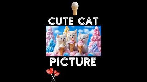 Cute Cat Picture