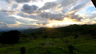 Happy Wildlife from Chiriqui, Panama