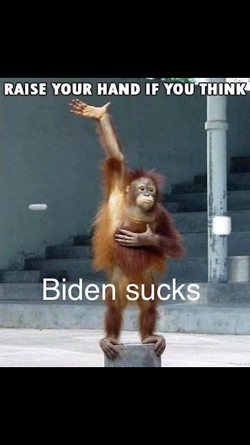 Food Is A Weapon - Biden Holding It Up In Containers & Preventing Delivery