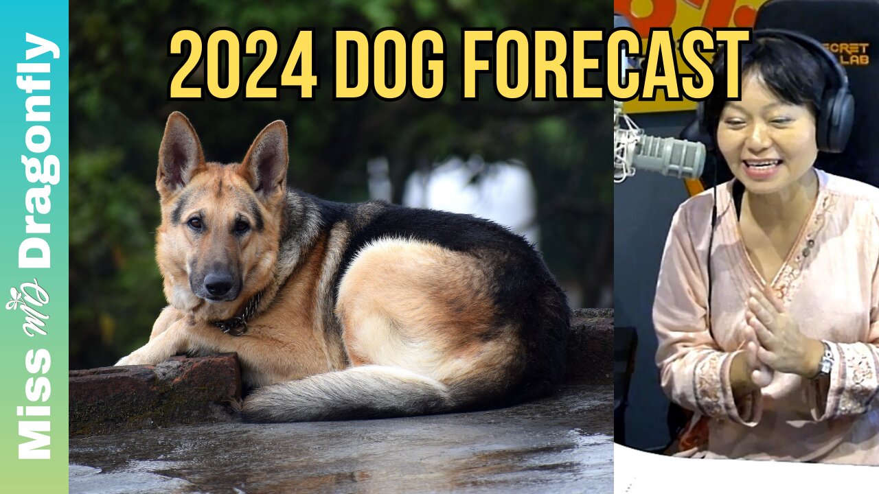 2024 Year Of The Dragon Zodiac Forecast | DOG