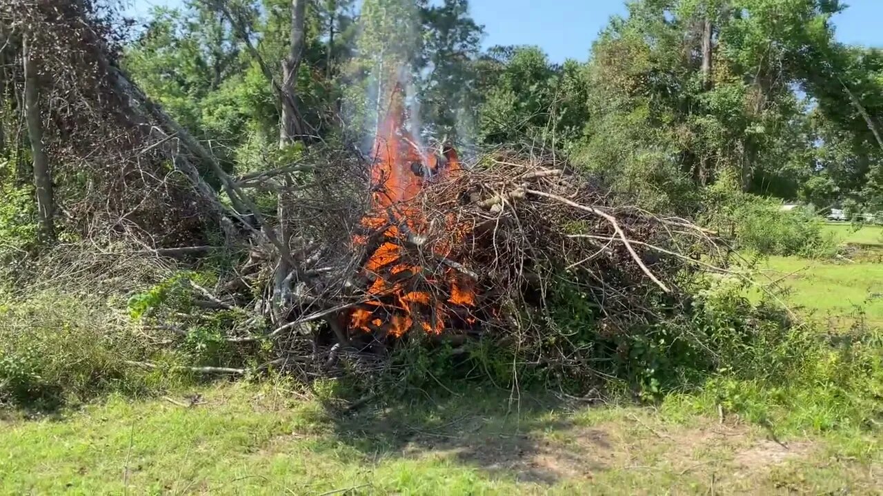 Update on land clearing and burning