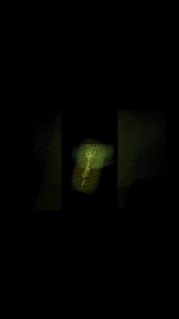 Beyond the Dark Short | Crop circles and Their Mysteries