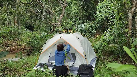 1 DAY SURVIVAL IN THE RAIN FOREST - RELAX IN THE SLIDE WITH SATISFYING SOUND