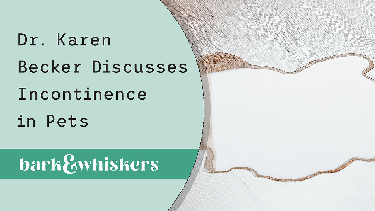 Dr. Karen Becker Discusses Incontinence in Pets