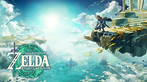 The Legend of Zelda Tears of the Kingdom | Misko's Treasure