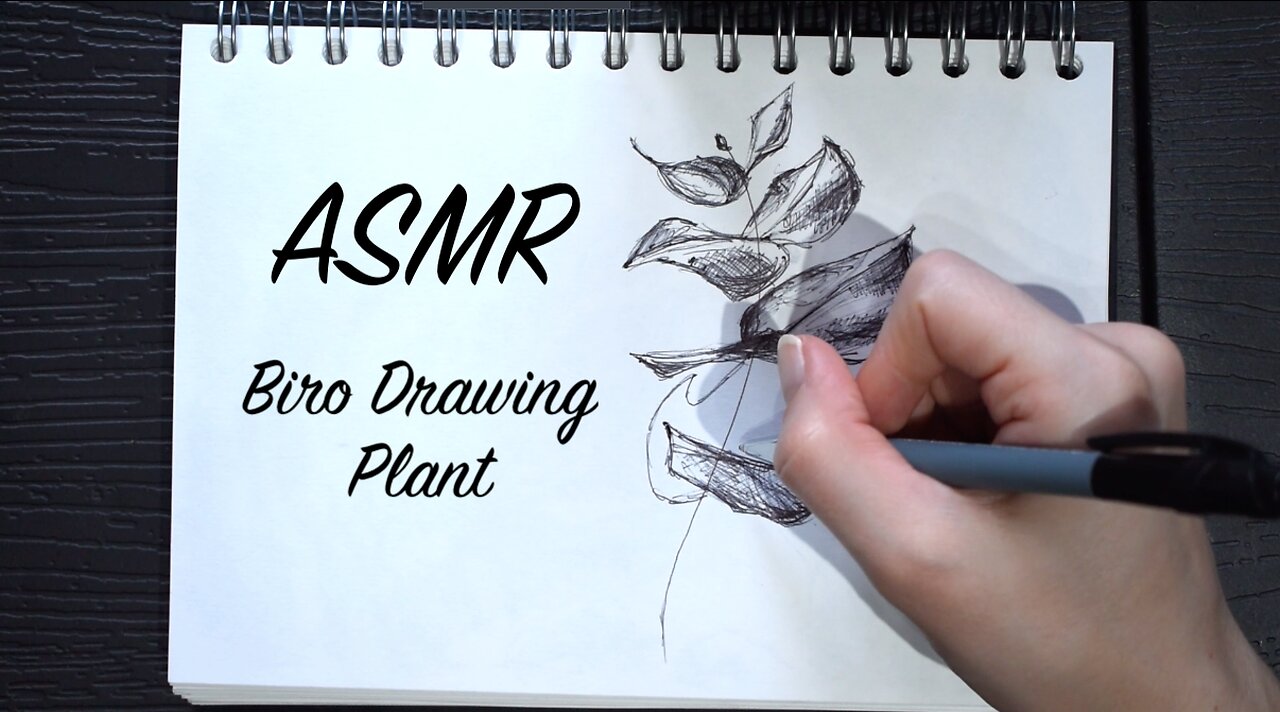 ASMR Quietly Sketching Next to You (No Talking) | Biro Drawing Plant