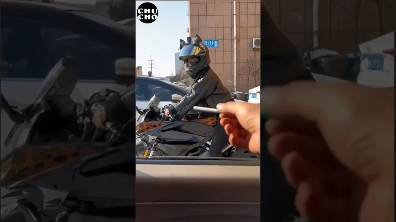 Fail. #chuchodelchucho #shorts #humor #elcafetazo