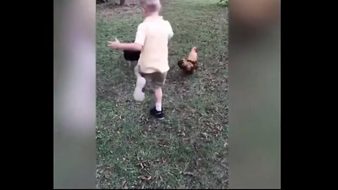 Funny Moments: Chickens Run After Children When They Startle Them