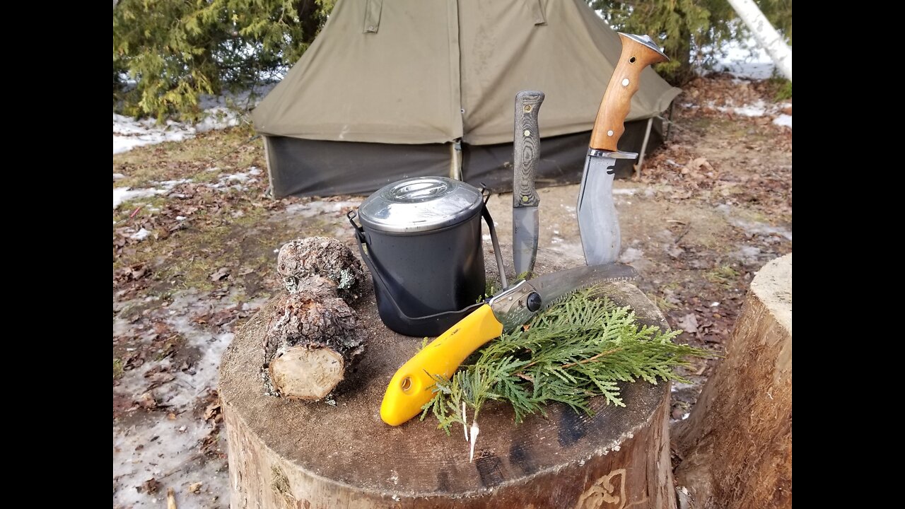 Cedar and Chaga Tea. Fatwood Pine Knots. Firebox twig Stove.