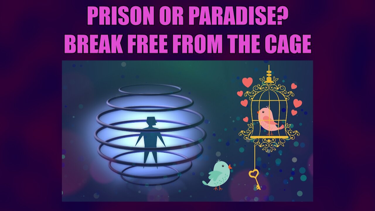 Prison or Paradise? Break Free from the Cage