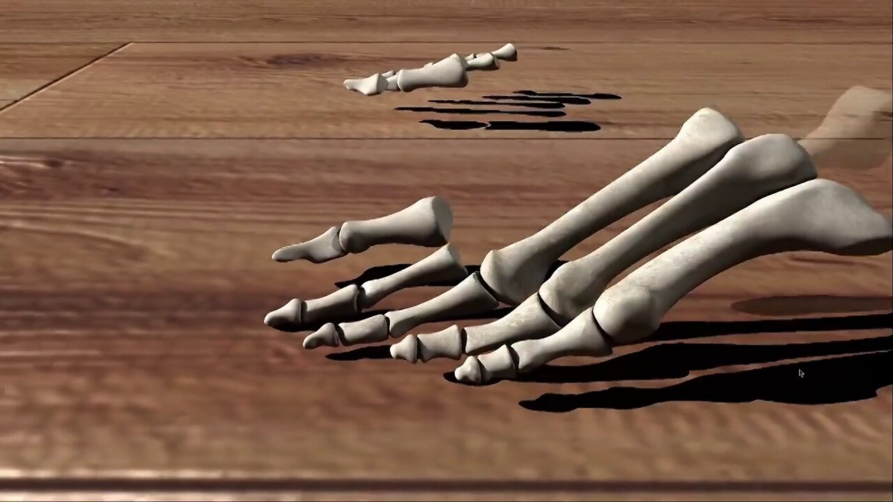 The Fame of Bones