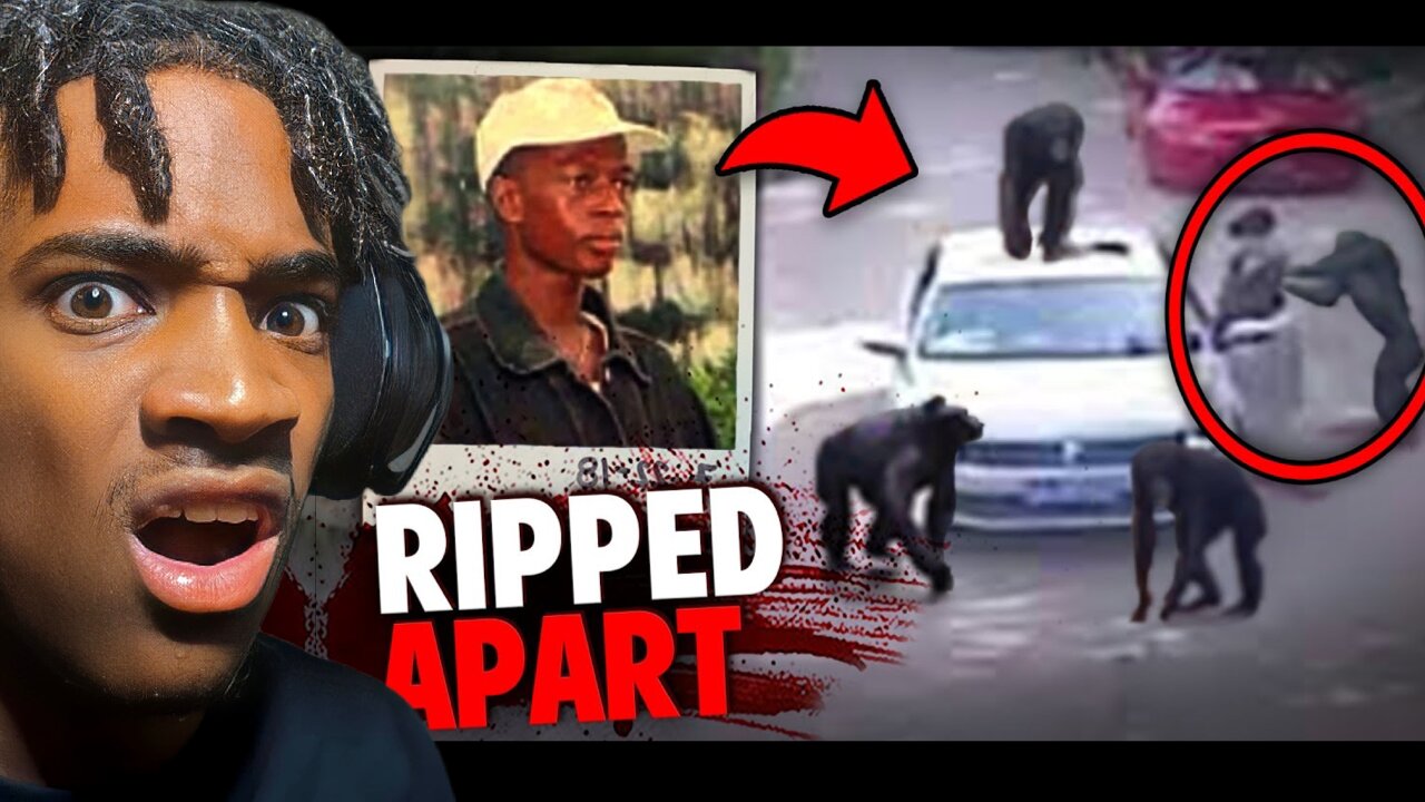 These DEADLY Escaped Chimps Ripped A Man to Pieces and ATE Him! | Vince Reacts