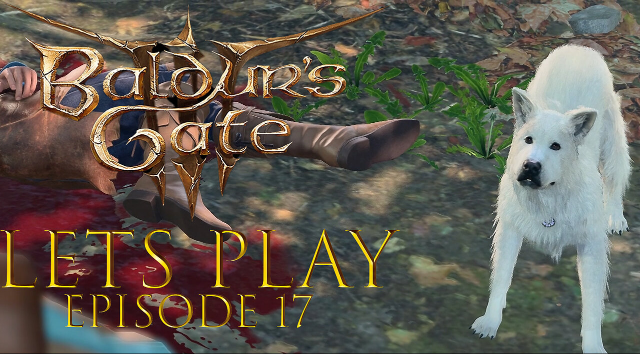 Baldur's Gate 3 Episode 17