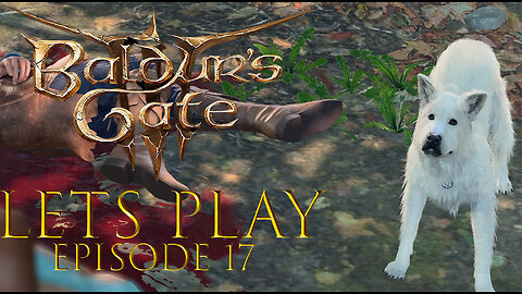 Baldur's Gate 3 Episode 17