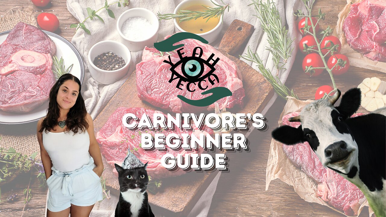 Carnivore Beginner's Guide