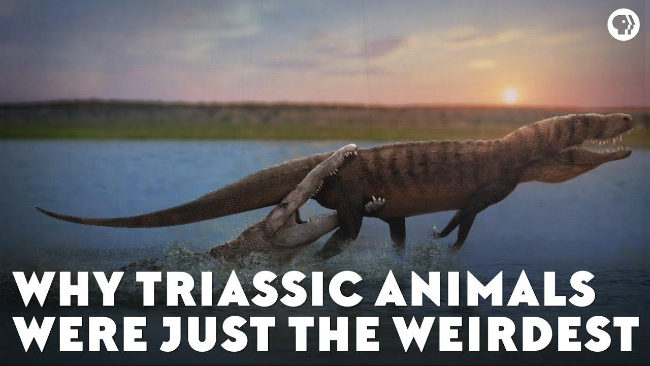 Why Triassic Animals Were Just the Weirdest