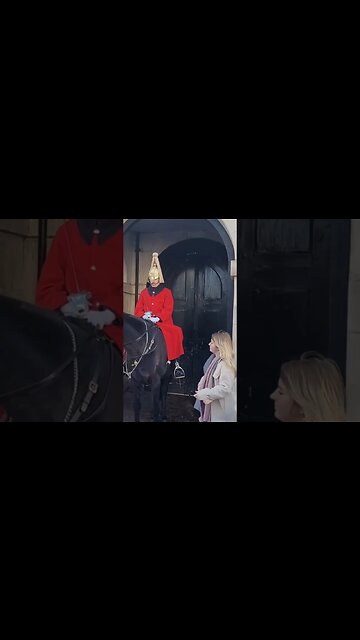 The Horse almost pulls her coat off #thekingsguard