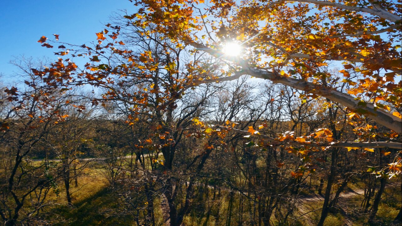 Austin Fall Cinematic FPV