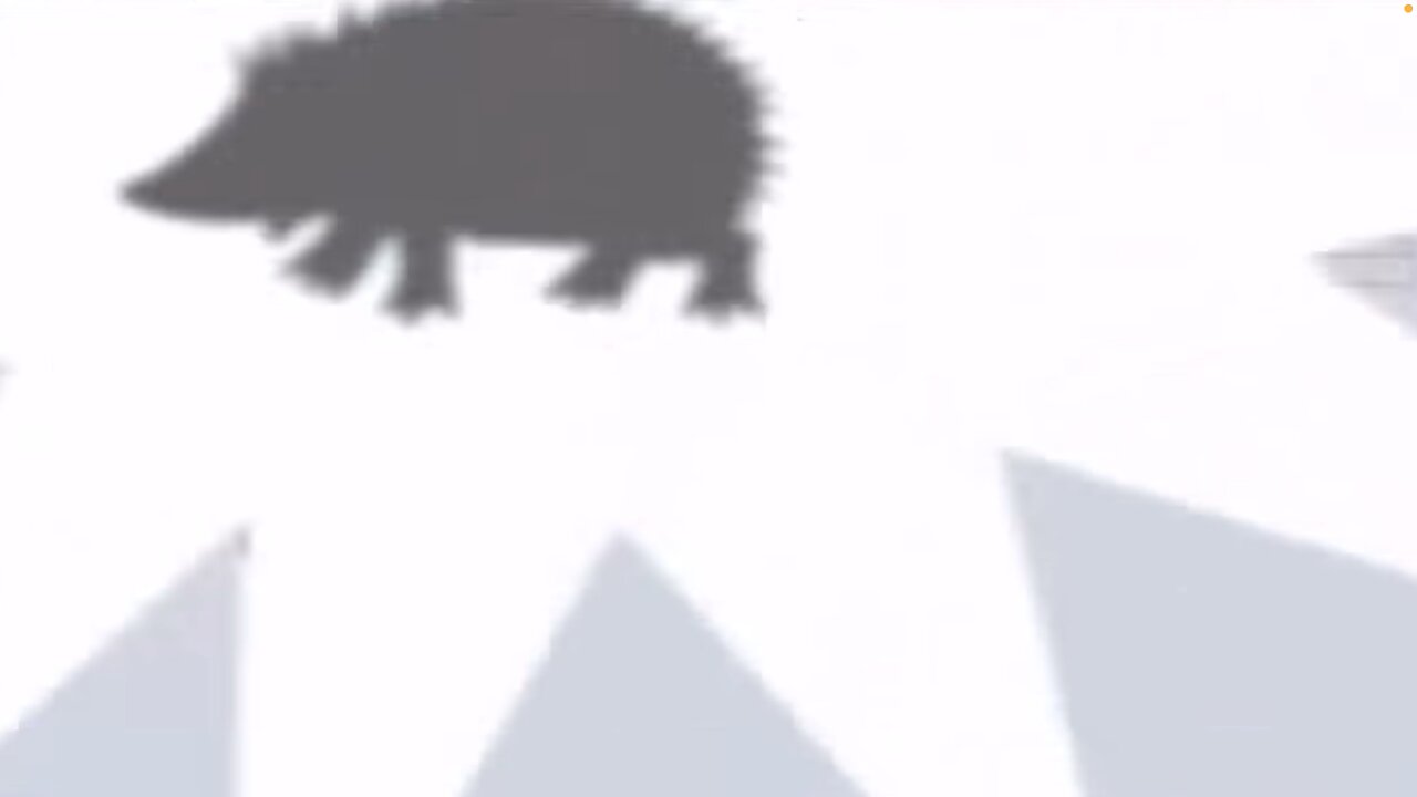 COMMENTARY: Hedgehog Watch Kipper The Dog