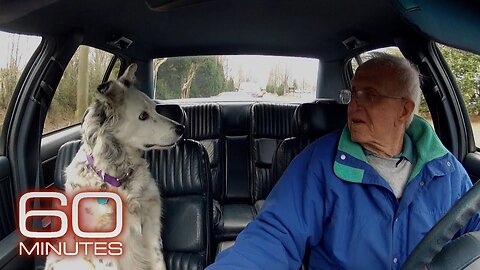 The smartest dog in the world - 60 Minutes Archive