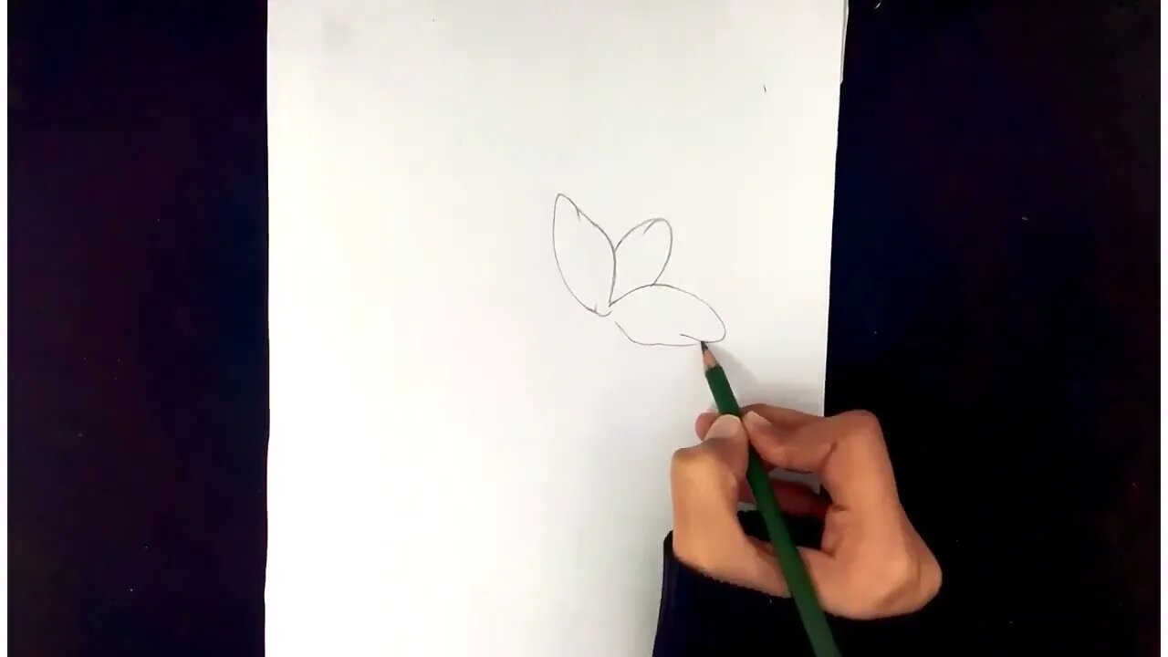 How To Draw Flowers Easy