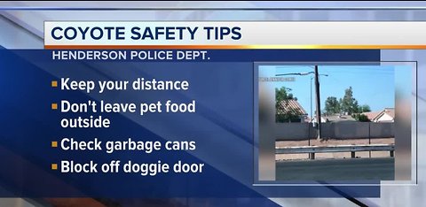 Coyote warning in Henderson