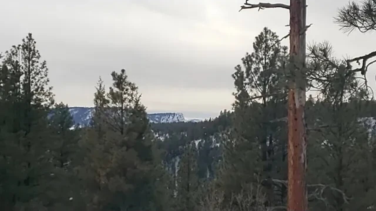 Live Streaming Awesome Mountain Views Colorado, Guest Updates