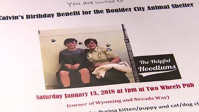 Boy's birthday wish helps Boulder City Animal Shelter collect donations
