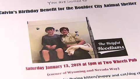 Boy's birthday wish helps Boulder City Animal Shelter collect donations