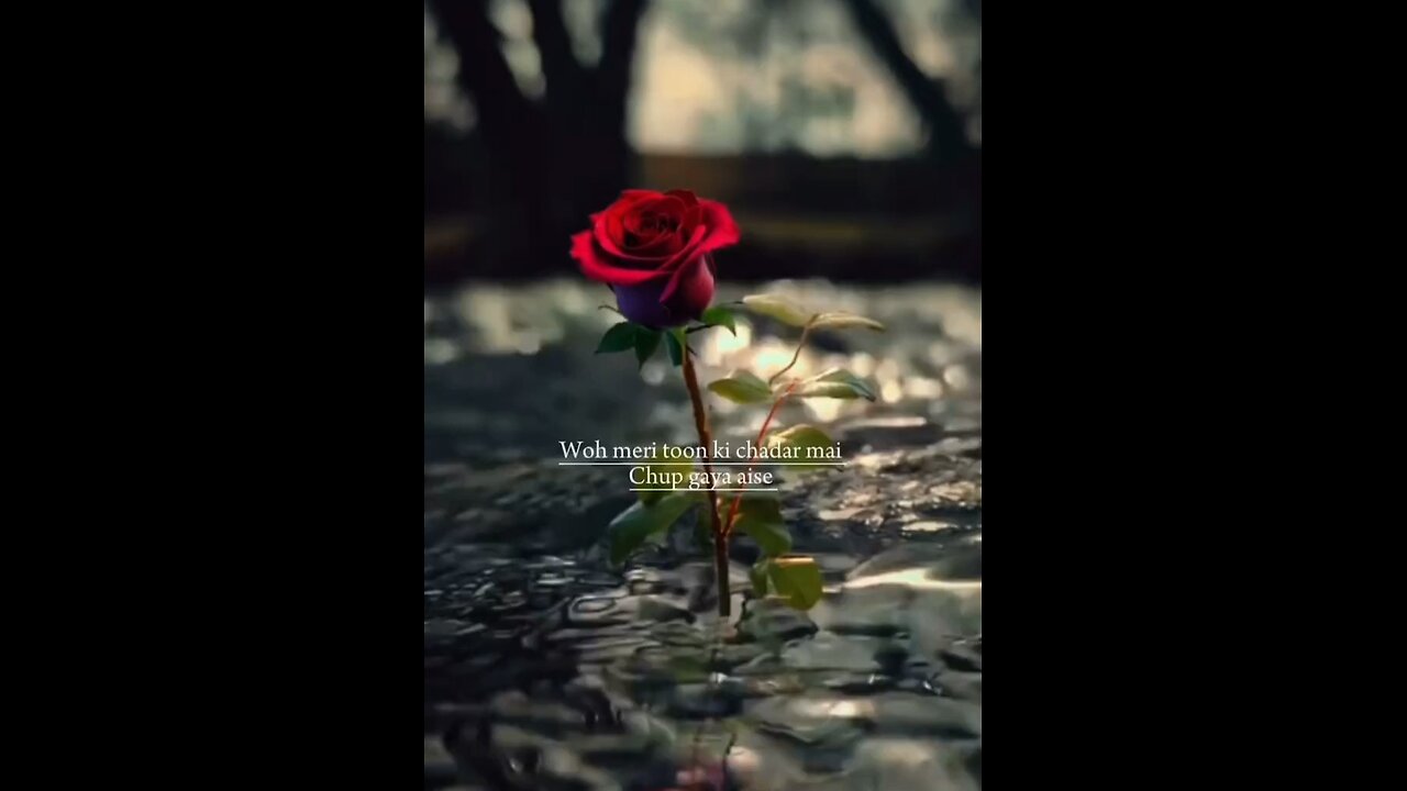 Wo meri rooh