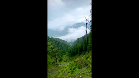 Nathiagali Abbotabad Khyber Pakhtunkhwa Pakistan