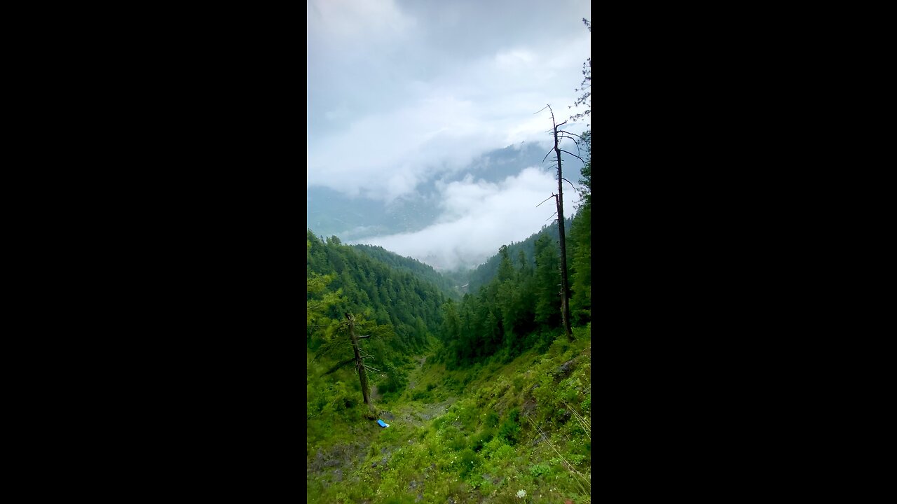 Nathiagali Abbotabad Khyber Pakhtunkhwa Pakistan