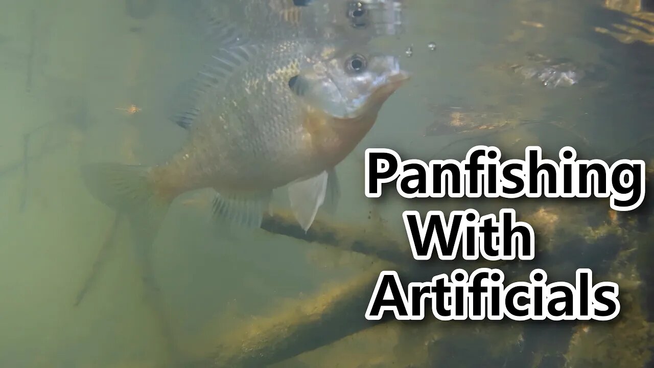 pt 8: Panfishing with small lures