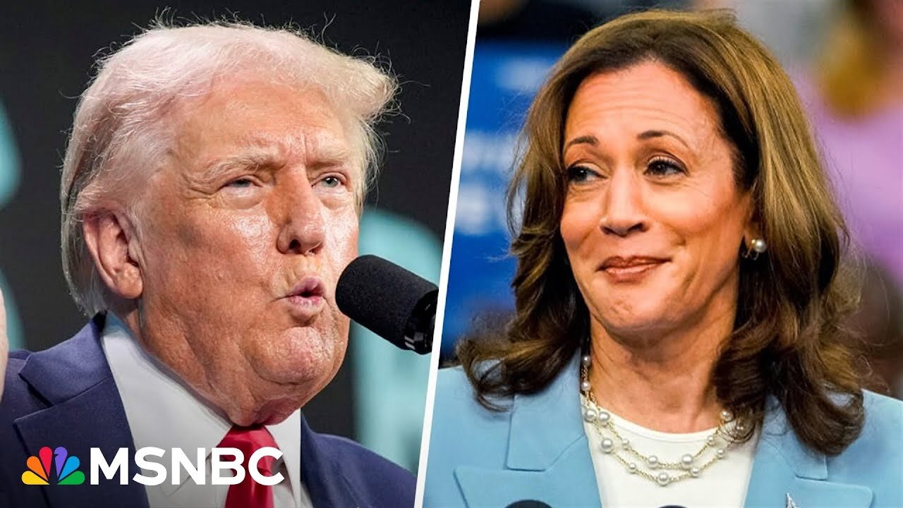 Trump 'blowing it' by continuing to bash Harris and calling her a 'horror show' | NE