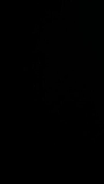 How to pronounce revolution