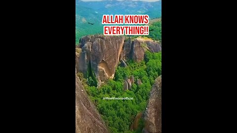 Allah knows everything !!!