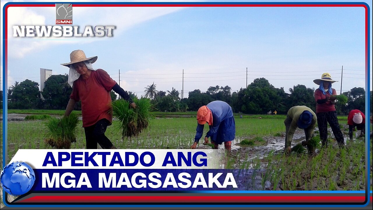 Mga magsasaka, posibleng hindi na magtanim ng palay