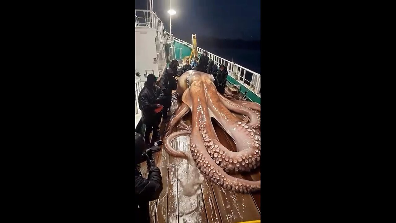 Giant sea monster caught by fisherman