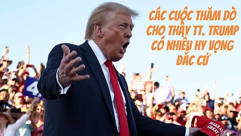15/10/2024 CÁC CUỘC THĂM DÒ CHO THẤY TT. TRUMP CÓ NHIỀU HY VỌNG ĐẮC CỬ