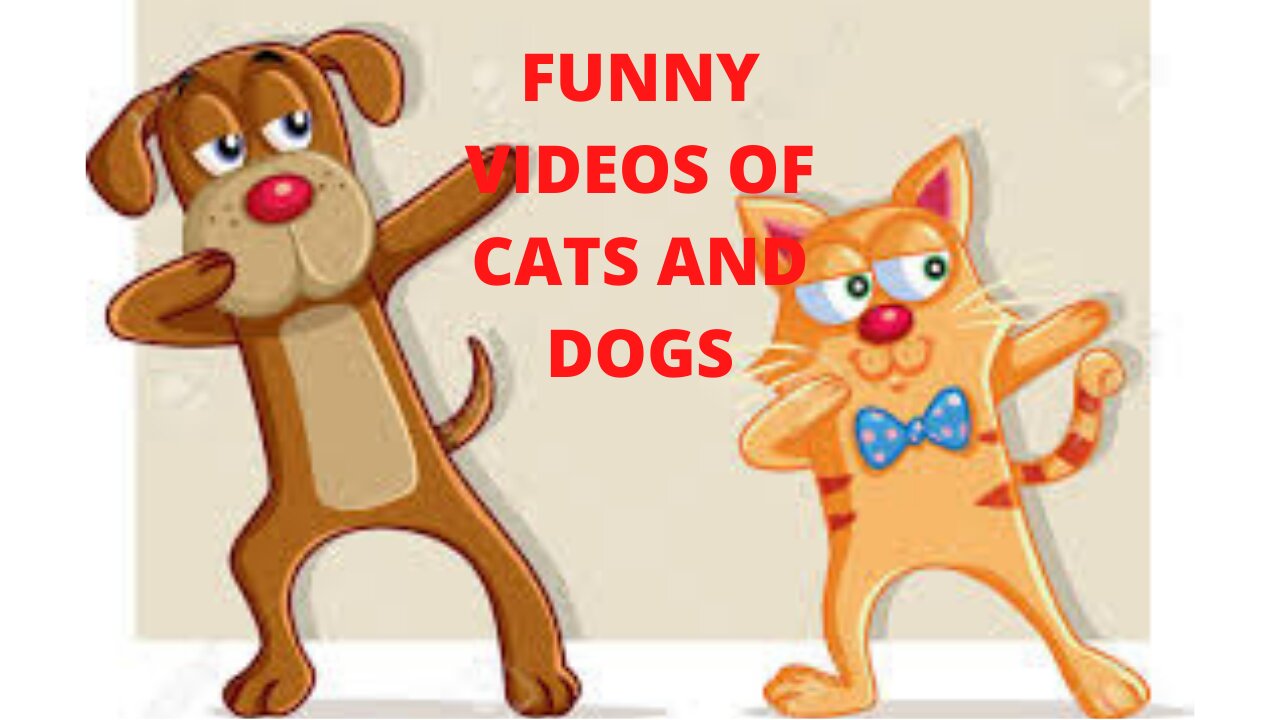 FUNNY CATS & DOGS #2