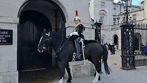 Horse gets spooked by virous sounds #horseguardsparade