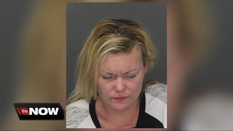 Woman allegedly assaults Troy police, eats pair of earrings