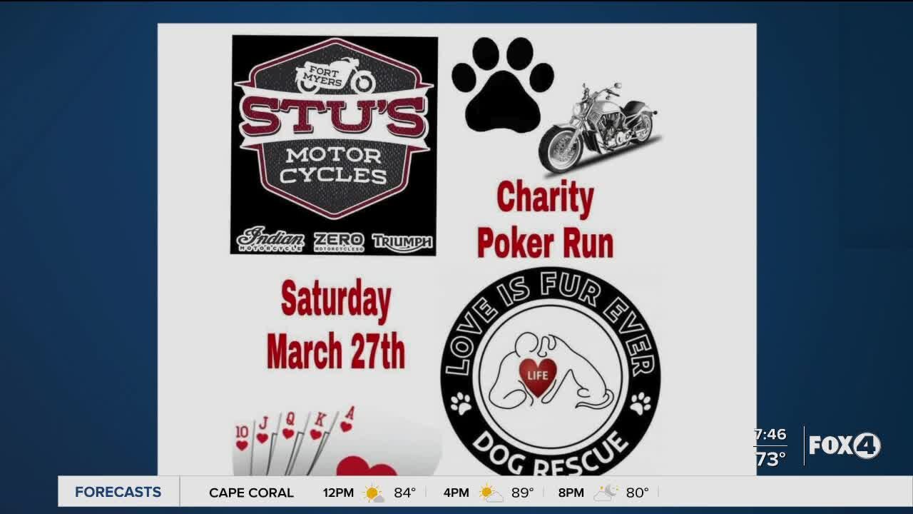 Local dog rescue holding charity "Poker Run" to save more dogs