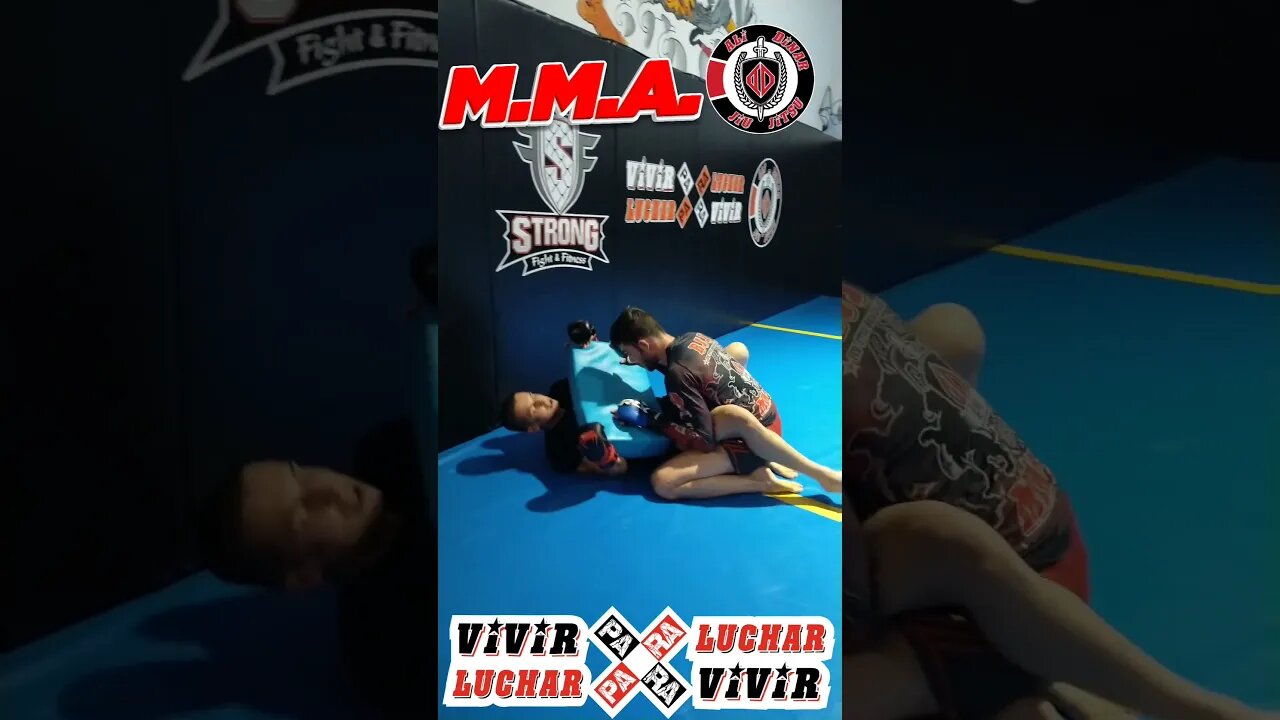 Ground and Pound #mma #ufc #shorts