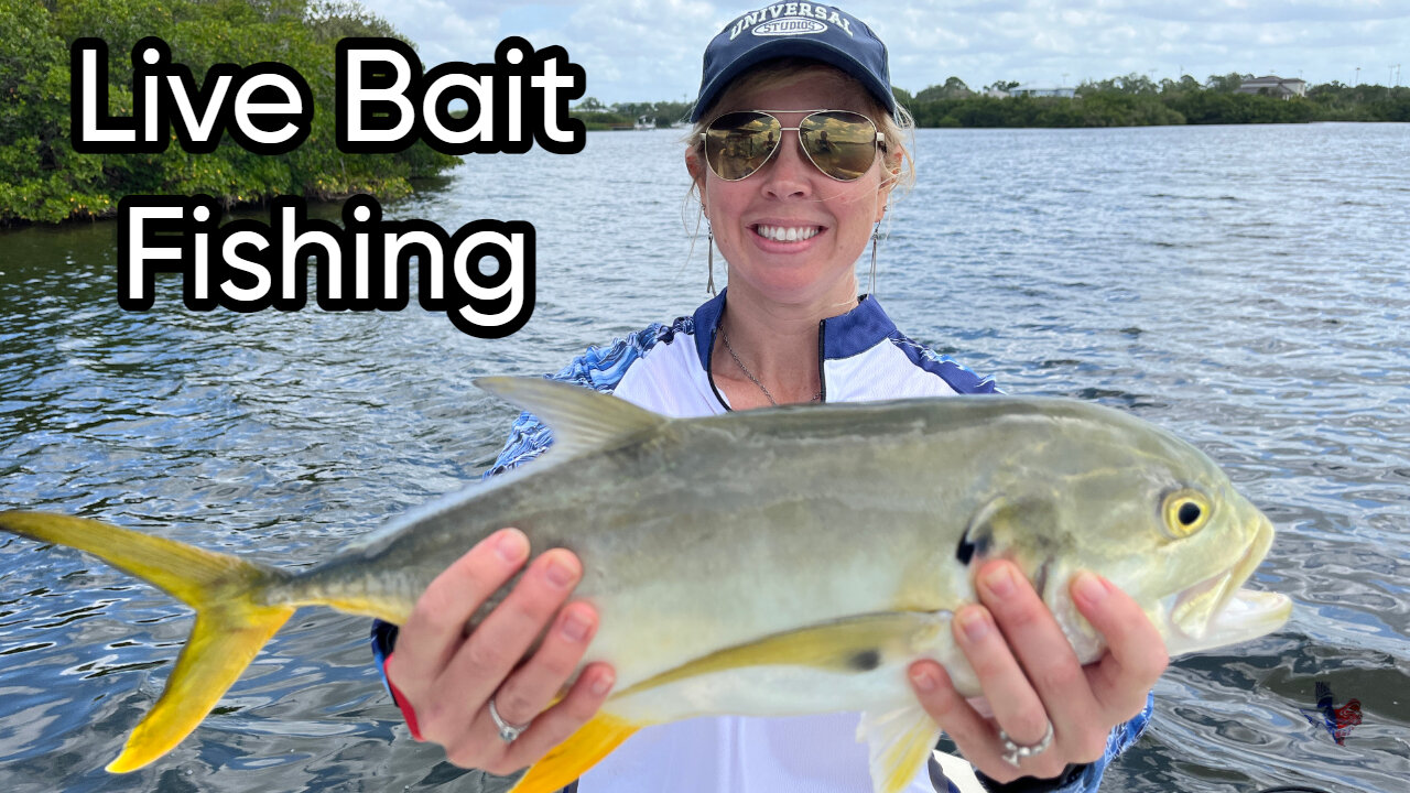 Live Bait Fishing Tips and Tricks - We Go Fishing Live - Ep. 24