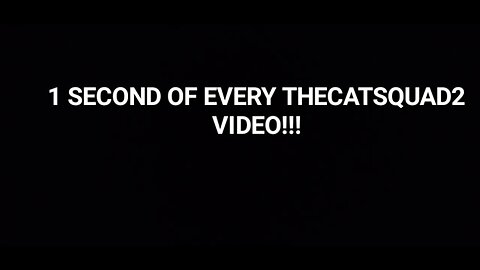 1 SECOND OF EVERY @THECATSQUAD2 VIDEO