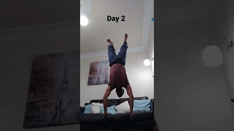 Day 2 - Learning How To Do Handstand Push Ups