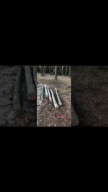 Vegetable garden #vegetables #herbalife #berries #Jersey tomato # heat treated lumber