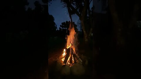 Cozy Campfire Crackles: ASMR Wood Burning by the Fire #soundeffects #nocopyright #contentcreation