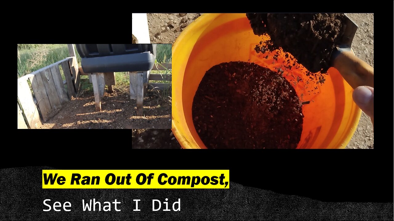 We Ran Out Of Compost, See What I Did.